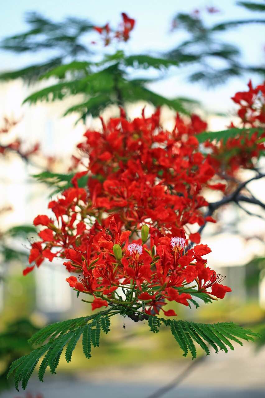 Happy Summer 2017 in ATC VIETNAM